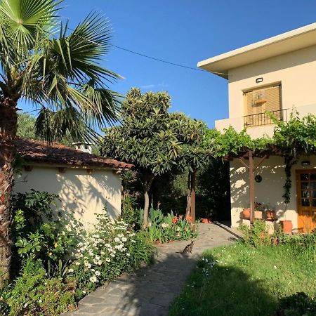 Villa Fatima Vryses 외부 사진